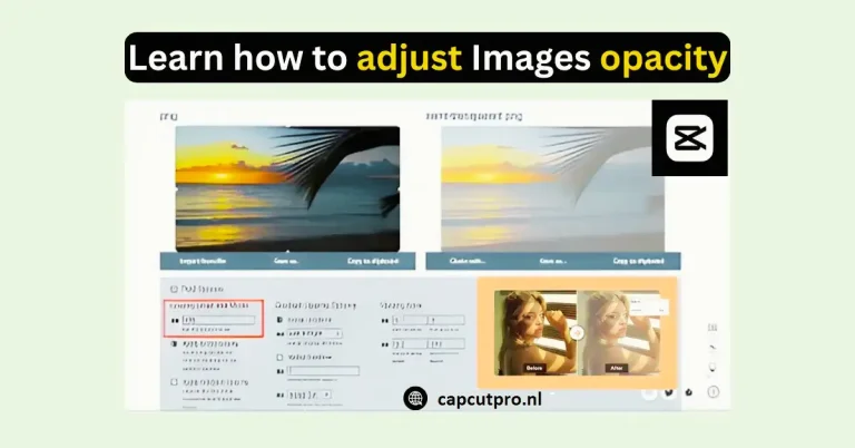 Opacity In CapCut Images