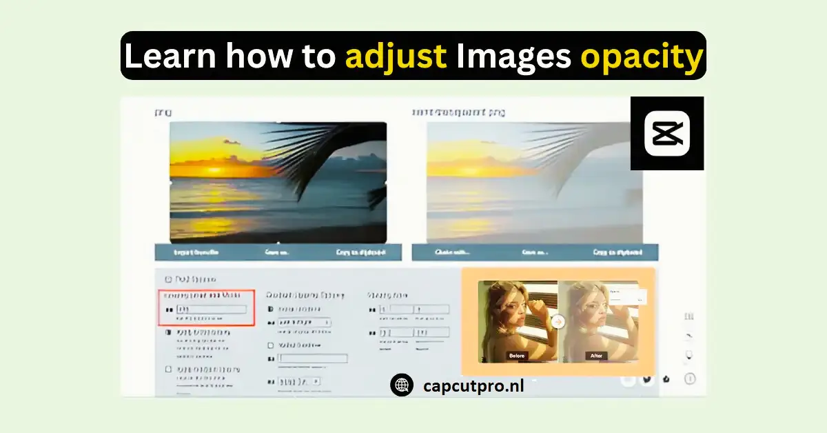 Opacity In CapCut Images