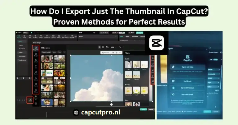 I Export Just The Thumbnail In CapCut