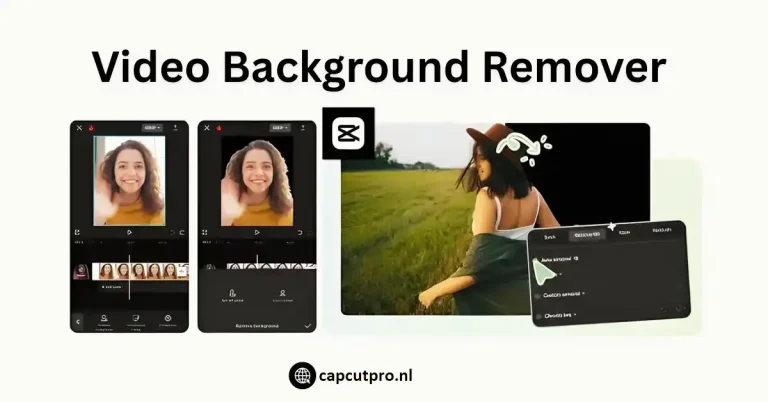 Video Background Remover in CapCut Pro