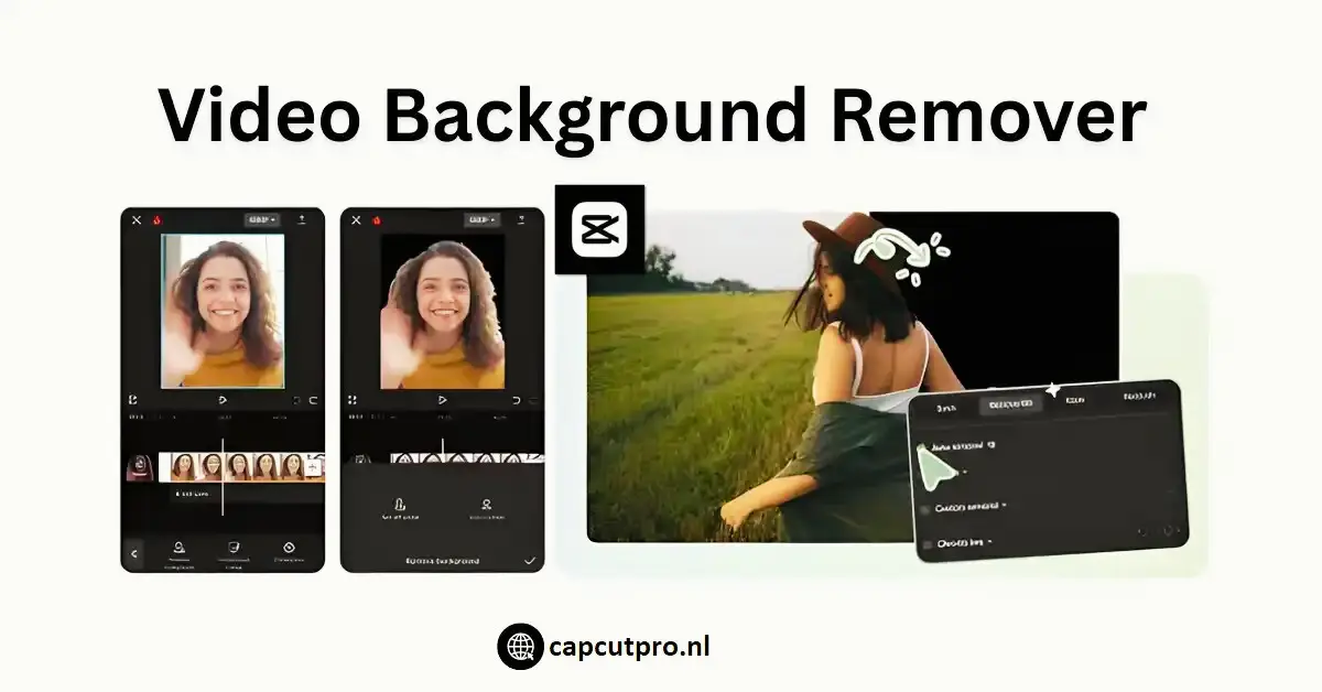 Video Background Remover in CapCut Pro