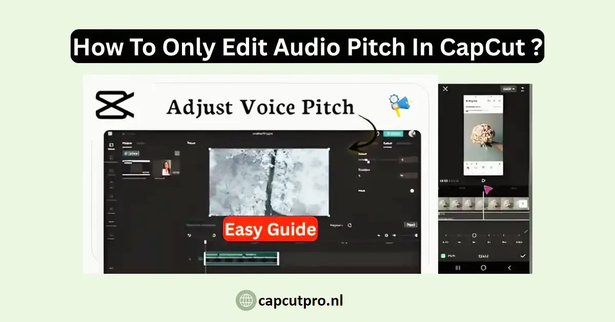 How To Only Edit Audio Pitch In CapCut